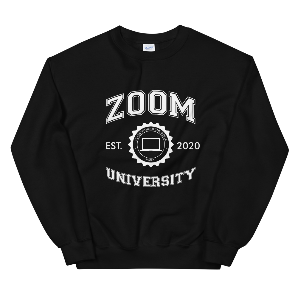 Zoom best sale university hoodie